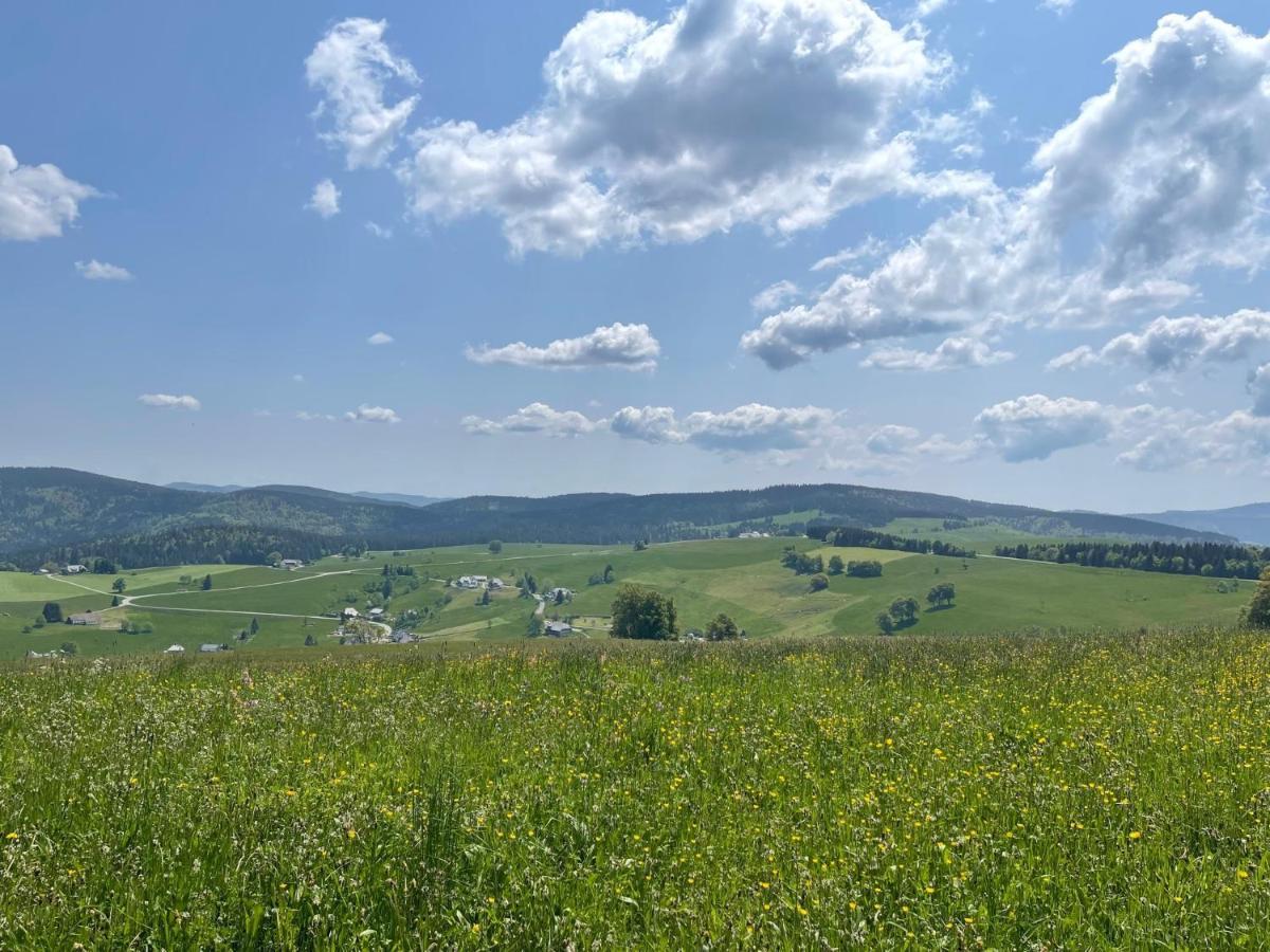 Neue Ferienwohnung Mit Whirlpool Und Sauna In Der Residenz Grafenmatt Inklusive Hochschwarzwaldcard Feldberg  Eksteriør bilde