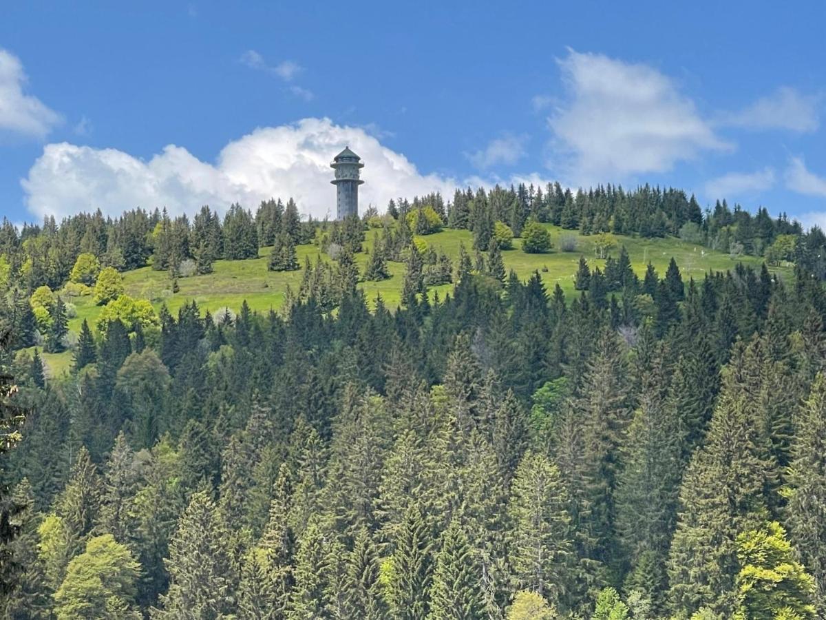 Neue Ferienwohnung Mit Whirlpool Und Sauna In Der Residenz Grafenmatt Inklusive Hochschwarzwaldcard Feldberg  Eksteriør bilde