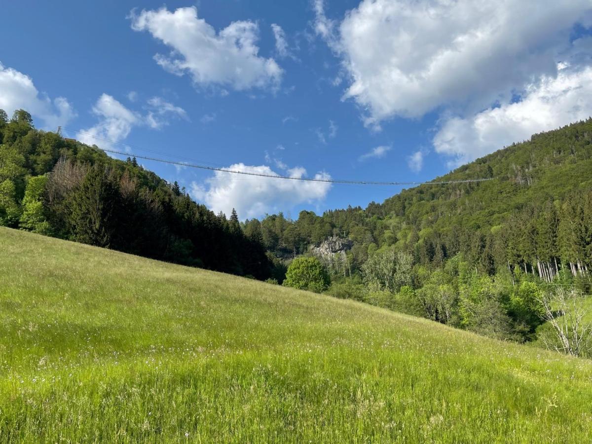 Neue Ferienwohnung Mit Whirlpool Und Sauna In Der Residenz Grafenmatt Inklusive Hochschwarzwaldcard Feldberg  Eksteriør bilde